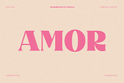 Brusnica - Retro Serif Font, a Serif Font by BilberryCreates (Thumbnail 10 of 17)