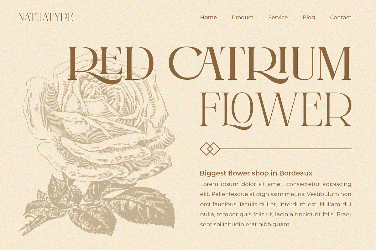 Castre - Serif Font Family (Updated), a Serif Font by Nathatype (Photo 3 of 13)