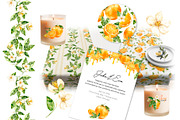 Orange Watercolor Clipart - PNG, a Food Illustration by Eves_Aquadreams (Thumbnail 11 of 11)