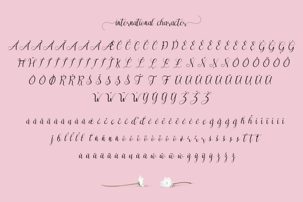 Sareeka Script ( Lovely Sale 30% ) preview 3