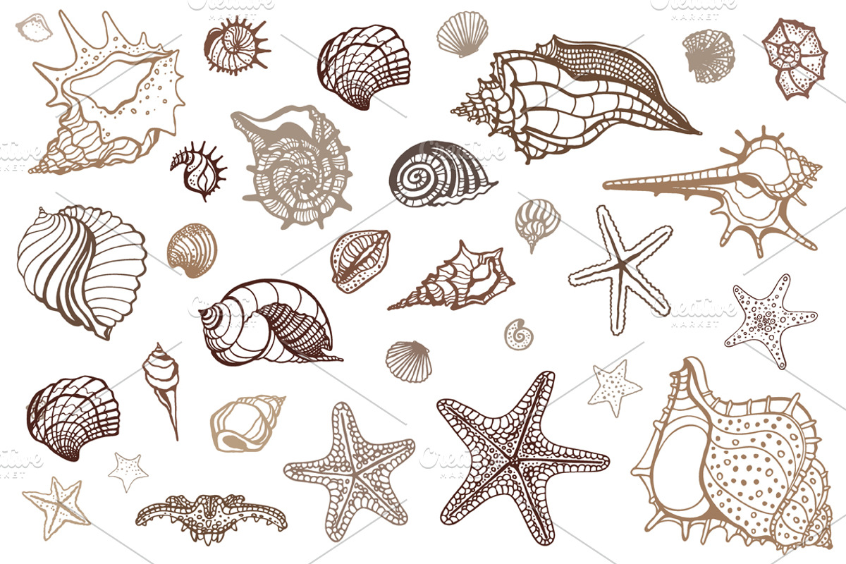 Sea Love Shells. Vector set, an Illustration by katyau (Photo 2 of 5)
