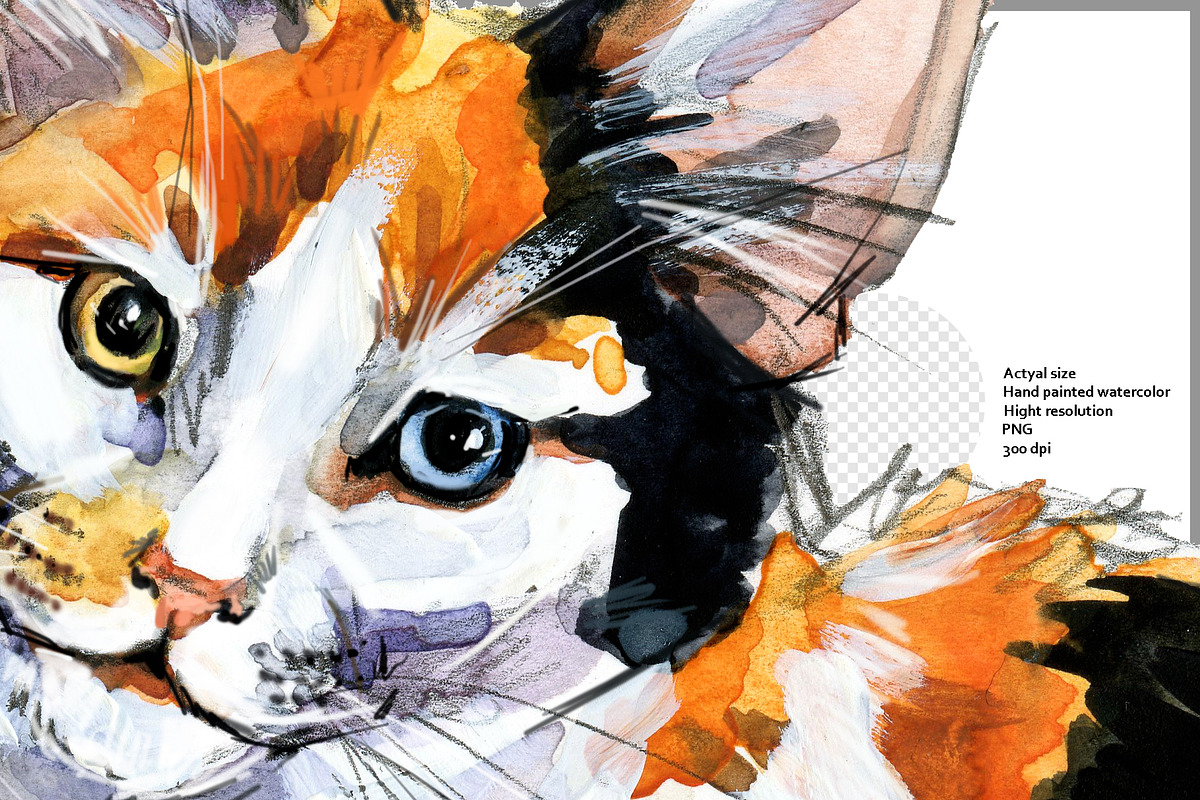 Pedigree Cats Watercolor Set, an Animal Illustration by FineArt (Photo 8 of 9)