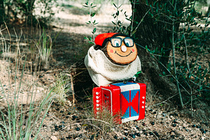 a Tio de Nadal with glasses in the forest, a Photo by Nito