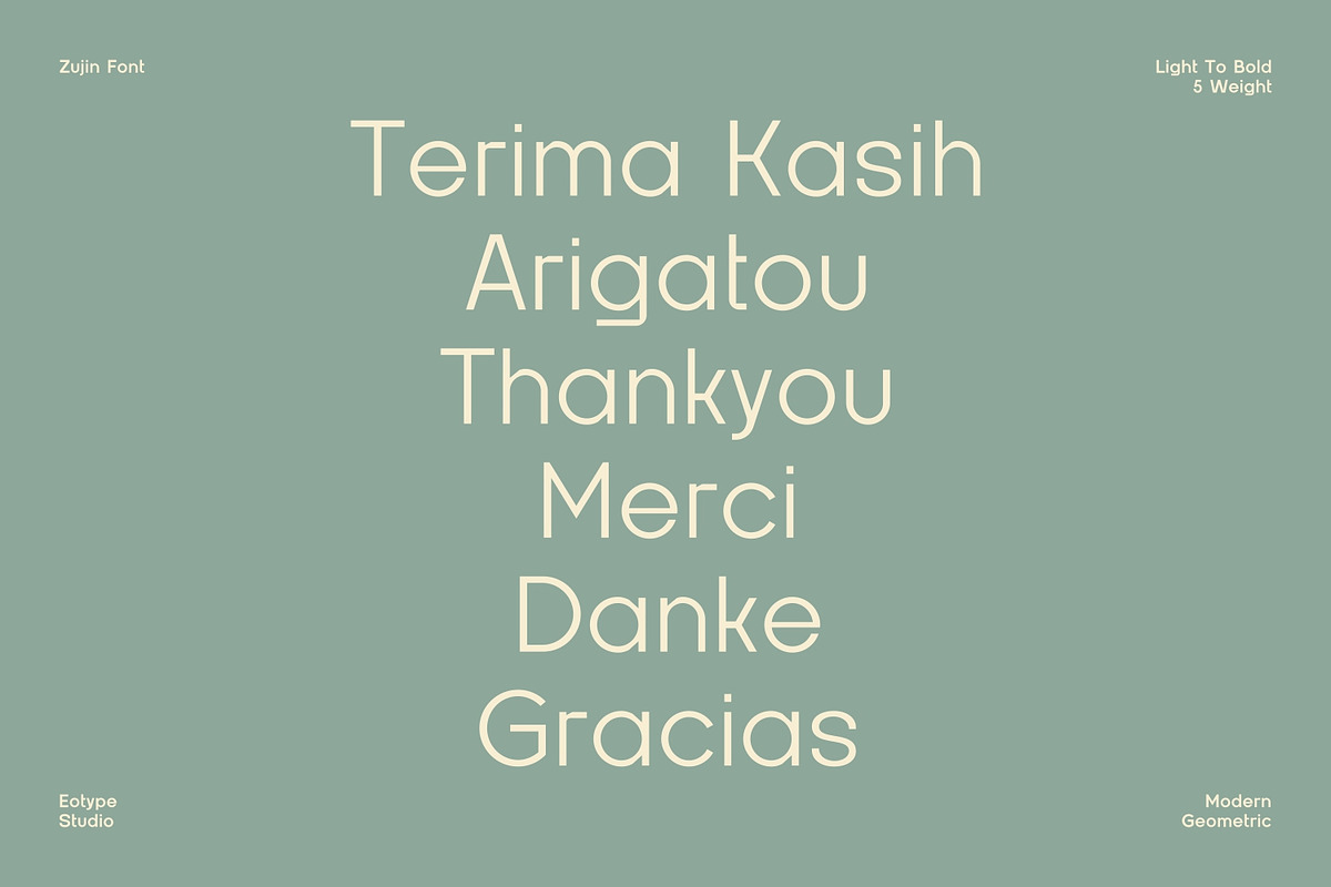 Zujin - Geometric Sans-Serif, a Font by Eotype Studio (Photo 12 of 12)