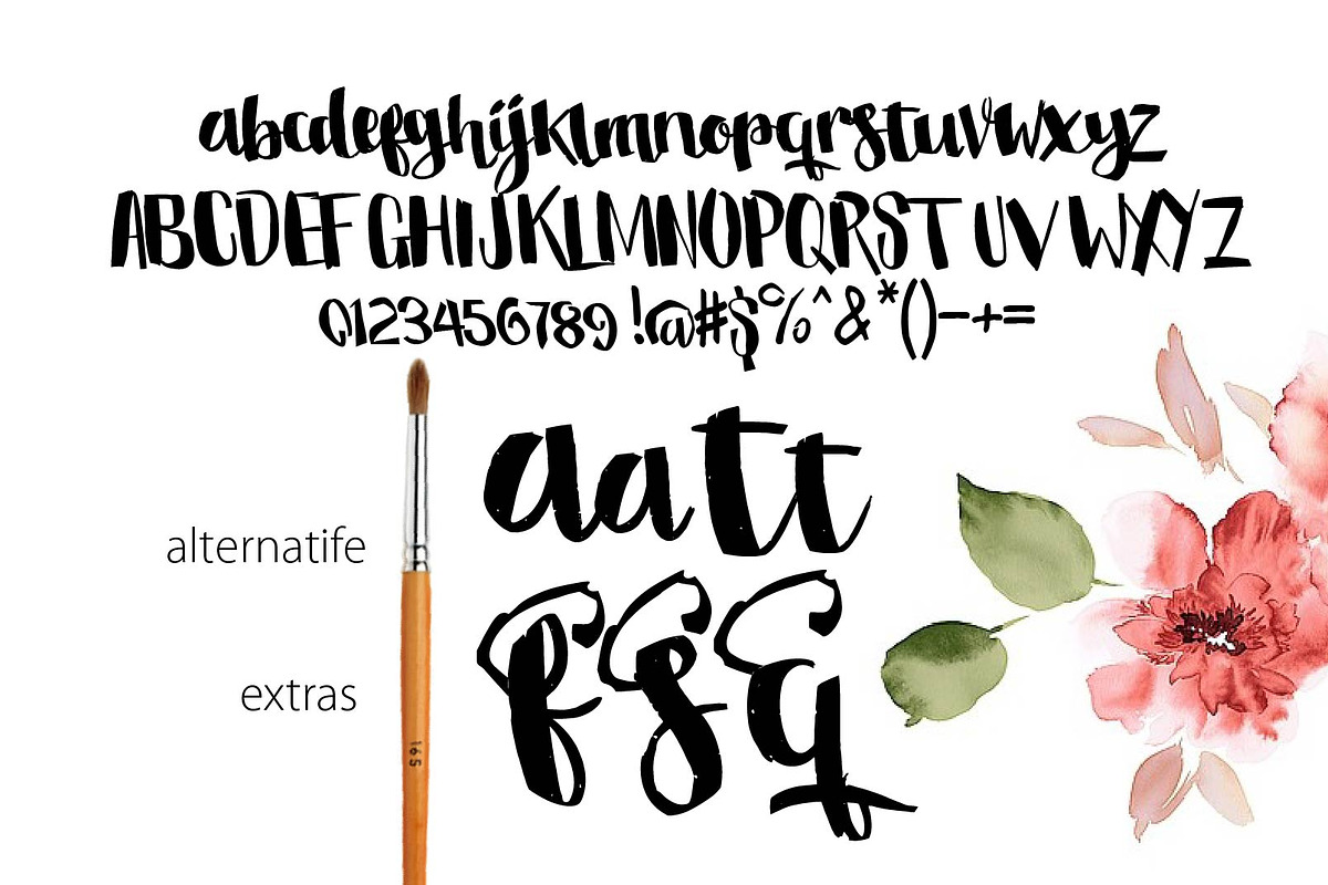 Stella script typeface preview 2