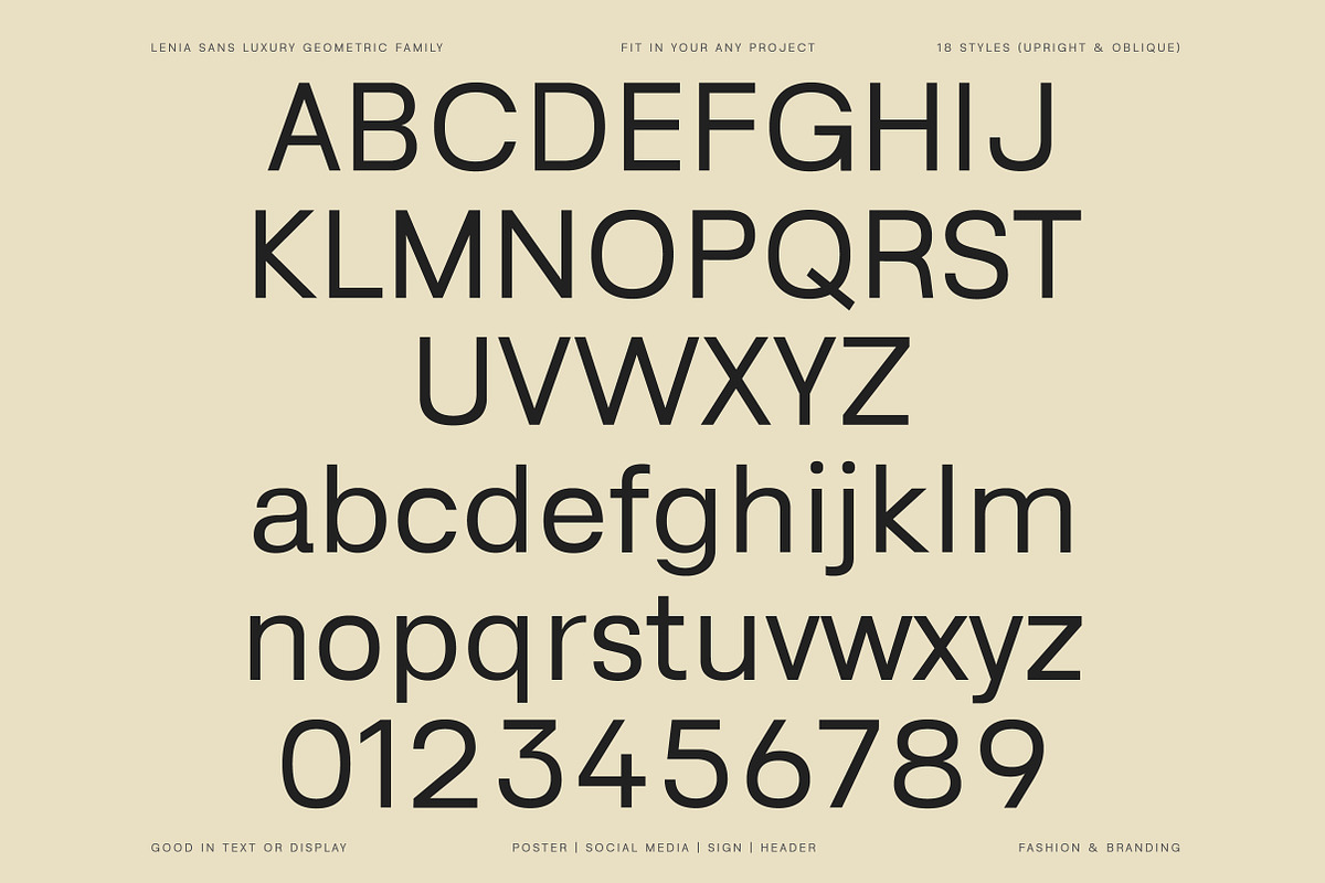 Lenia Sans Family | Intro 75% OFF, a Sans Serif Font by Lettertype Studio (Photo 9 of 15)