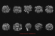 10 Bundle Dark Art Succulent Cactus, an Illustration by Morspective (Thumbnail 6 of 7)