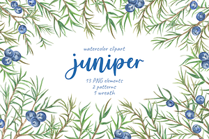 Juniper berries watercolor clipart