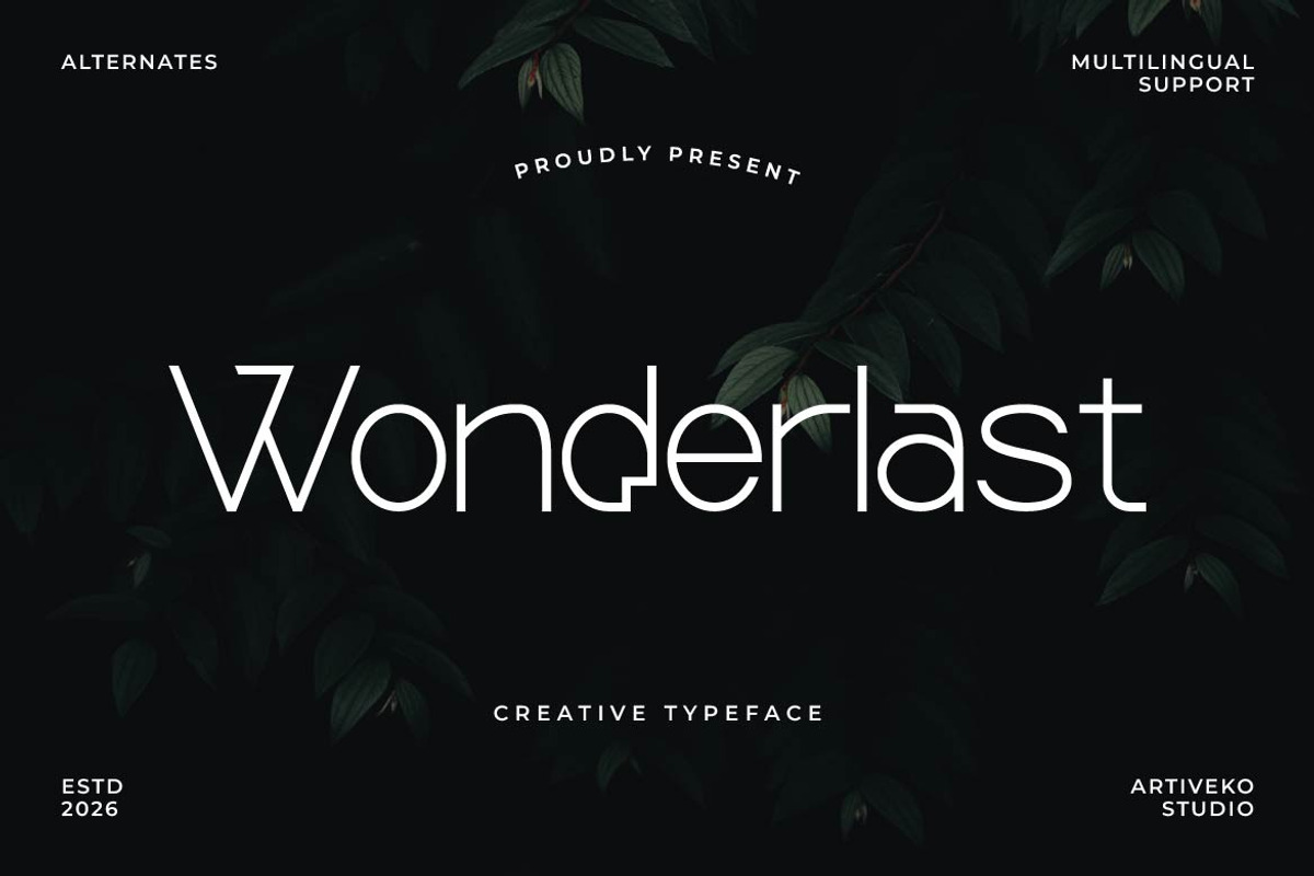 Wonderlast – Creative Display Sans, a Sans Serif Font by Artiveko (Photo 1 of 7)