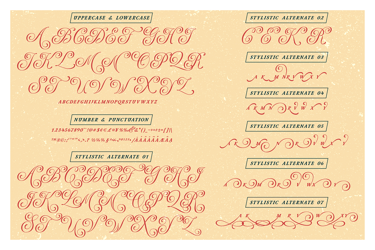 Astria - Fancy Typeface preview 6