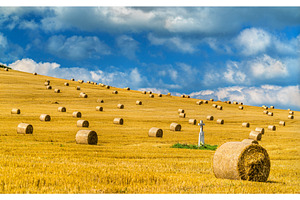 Straw bales on a wheat field in slovakia stock photo containing agriculture, a Nature Photo by Leonid Andronov