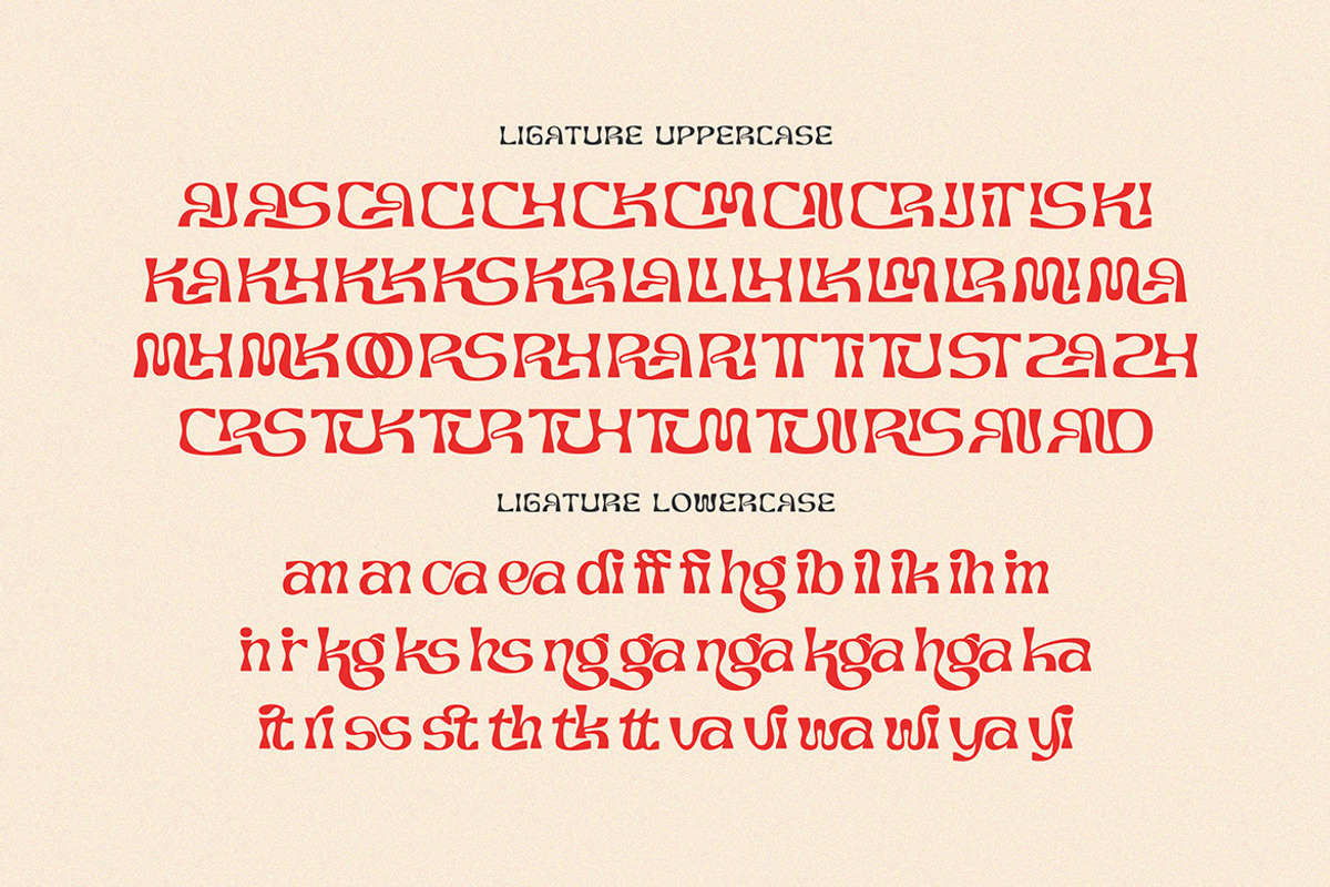 Turbard Modern Serif, a Serif Font by Cruzine (Photo 8 of 9)