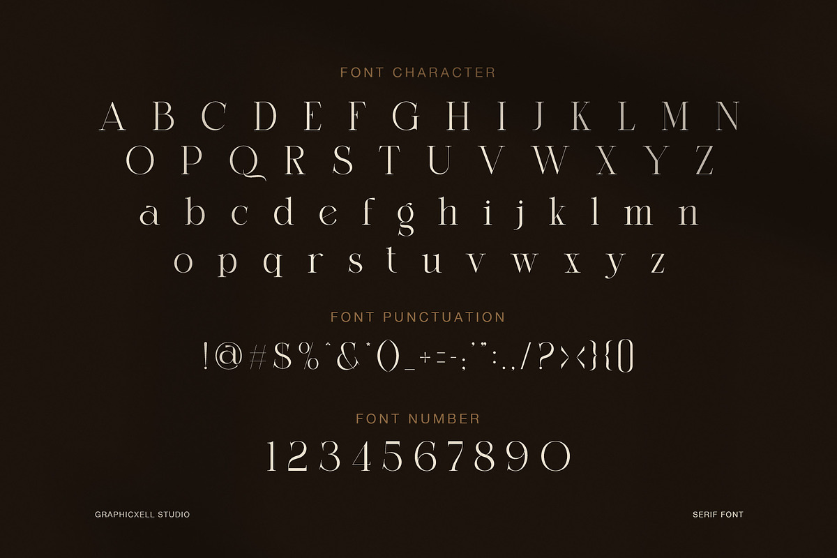Amida Elegant Display Serif Font, a Serif Font by Graphicxell (Photo 7 of 8)