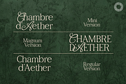 Aether Multi-Style Serif, a Serif Font by Setara Langit CreativeStd (Thumbnail 2 of 11)