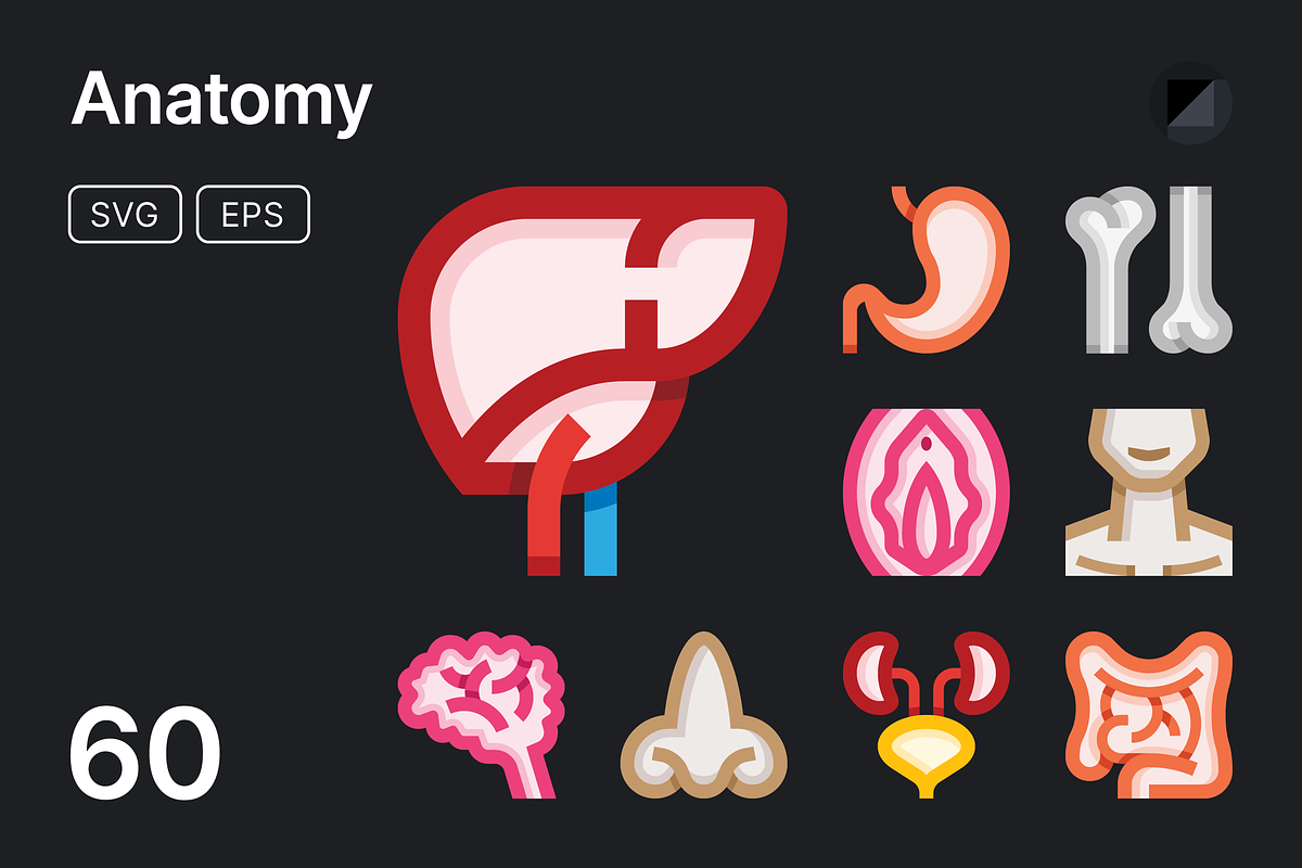BASICONS — 15000+ Icons, a Duotone Icon by Danil Polshin (Photo 8 of 99)