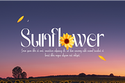 Gradually Reduced Font, a Serif Font by 177Studio (Thumbnail 2 of 7)
