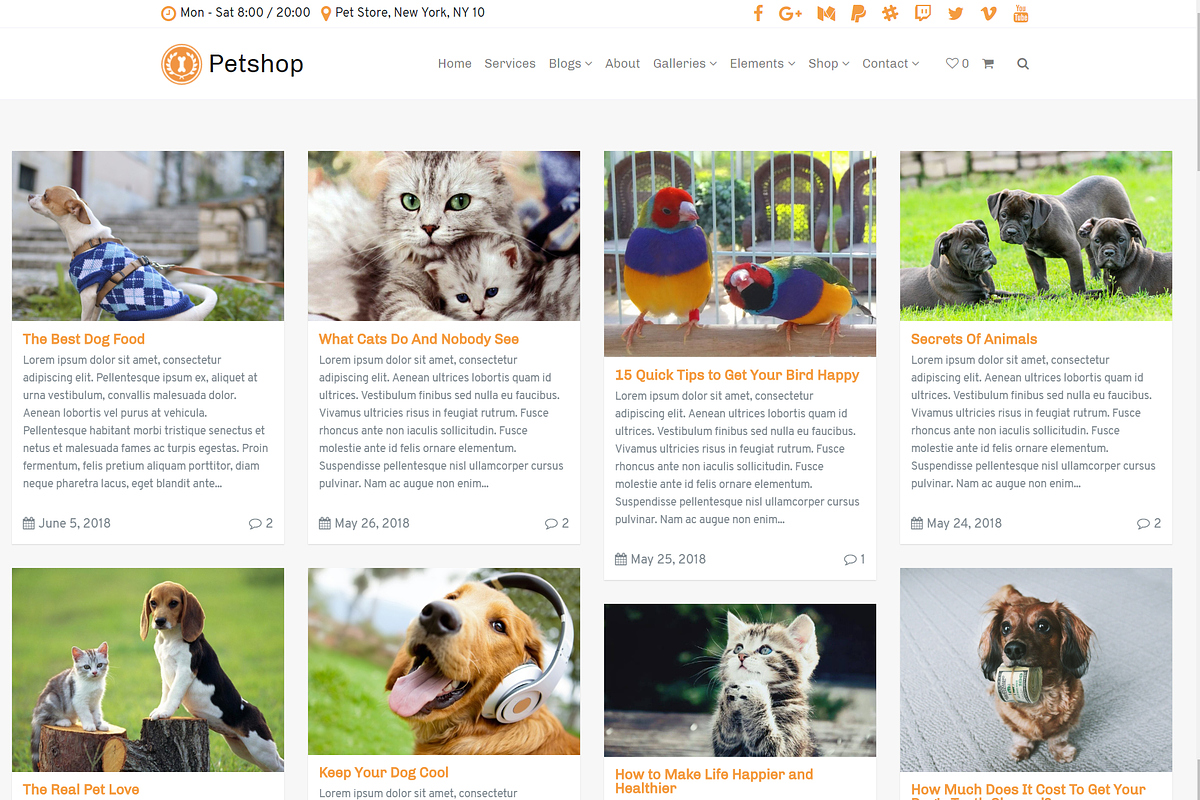 Petshop & Pet Care WordPress Theme, a WordPress Template by Visualmodo (Photo 10 of 30)