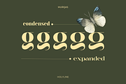 Murqas - Width Family, a Serif Font by Holyline Design (Thumbnail 4 of 12)