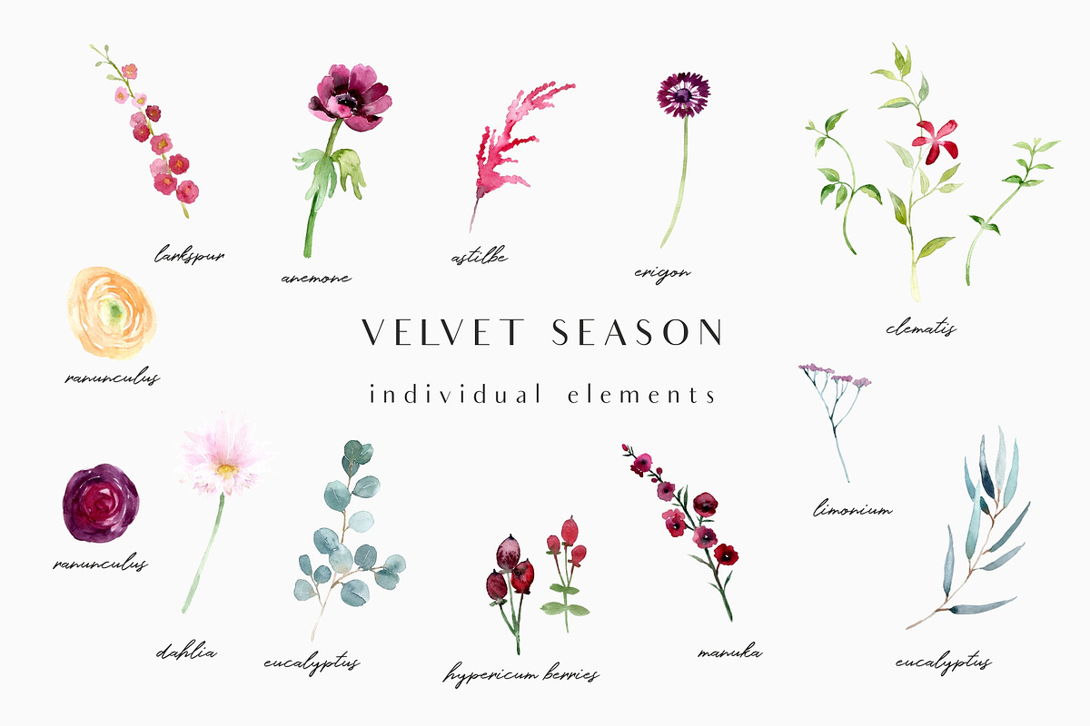 Velvet season - graphic set, an Illustration by Youksy (Photo 4 of 10)