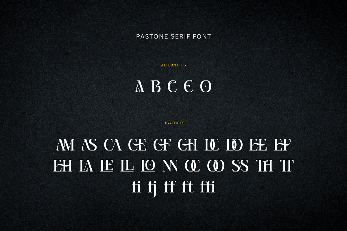 Pastone - Elegant Serif Font, a Serif Font by Creavibes Design (Photo 17 of 18)