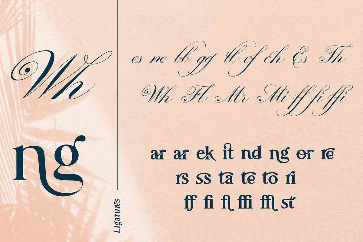 Prestissimo Classy (20% 0FF), a Script Font by Burntilldead (Photo 12 of 23)