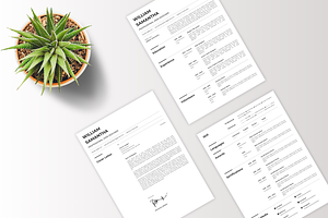 Professional Resume Template - CV