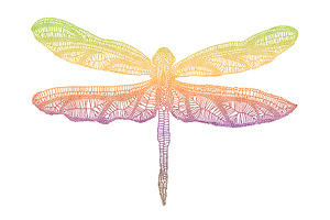 Beautiful Butterflies, Vector