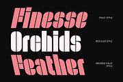 CS Wayne – Stencil Font, a Sans Serif Font by Craft Supply Co. (Thumbnail 4 of 8)