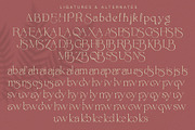 Envegas, a Serif Font by Sealoung (Thumbnail 15 of 16)