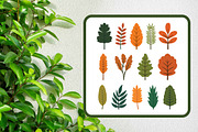 29 Leaf Leaves Natural Plant Element, a Decorative Illustration by jongcreative (Thumbnail 3 of 6)