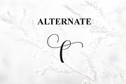 Winterday | Script Font, a Handwritten Font by Scratchones (Thumbnail 8 of 9)