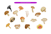Hand Drawn Mushrooms, a Food Illustration by Creathub Studio (Thumbnail 2 of 3)