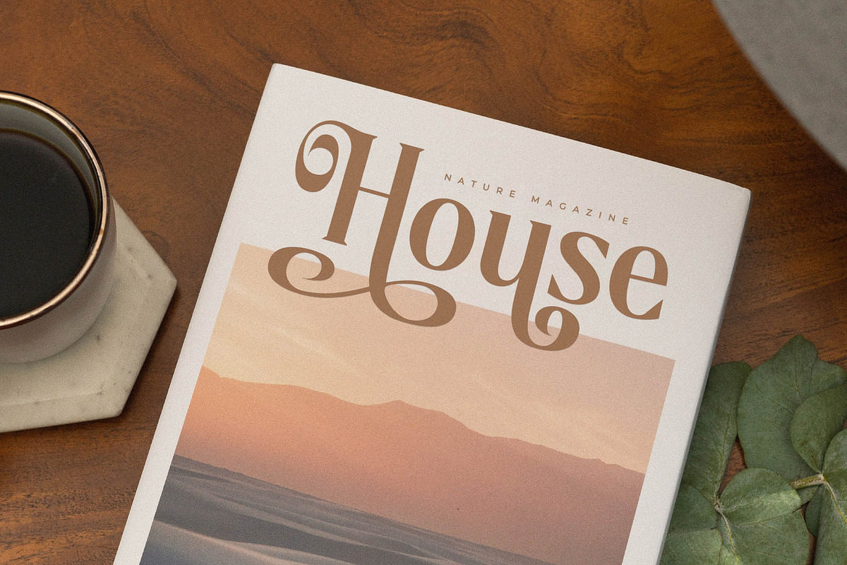 Melondy Modern Stylish Serif, a Serif Font by Storytype Studio (Photo 10 of 15)