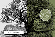 29 Branches, Twigs & Leaves (+Bonus), an Illustration by Century Library (Thumbnail 7 of 8)