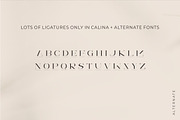 Calina serif classy font, a Serif Font by suhadidesign (Thumbnail 17 of 18)