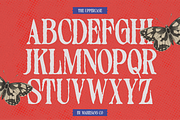 Distressed Seroze – Elegant Serif, a Serif Font by Mahesans Co (Thumbnail 7 of 10)
