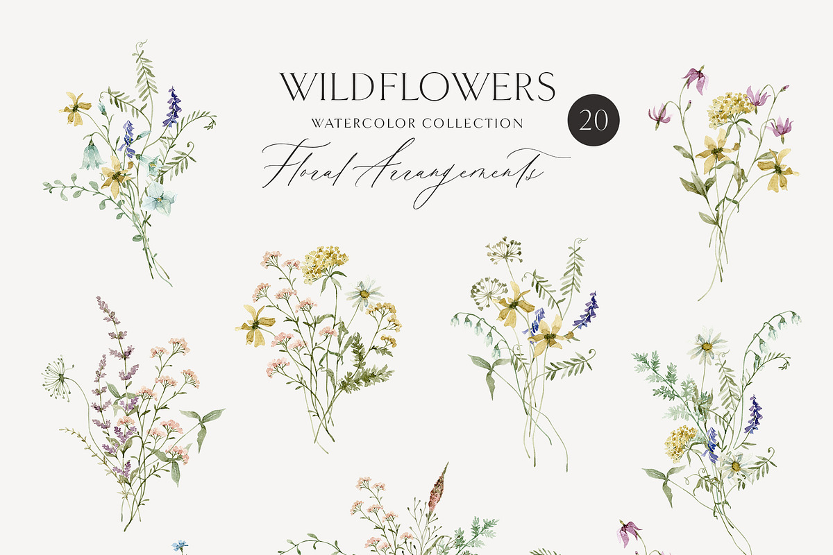 WILDFLOWERS delicate floral clipart, a Person Illustration by long summer (Photo 3 of 12)