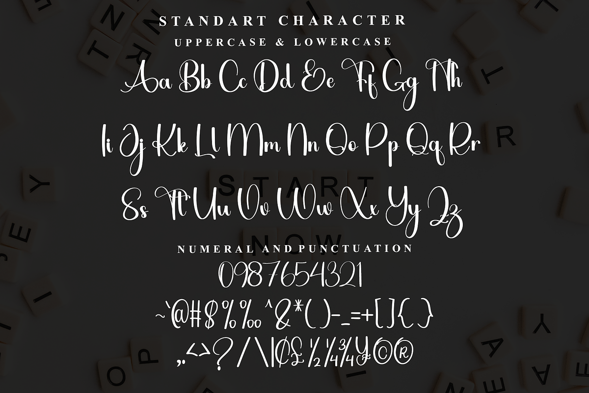 Standy, a Handwritten Font by InermediaSTUDIO (Photo 3 of 8)