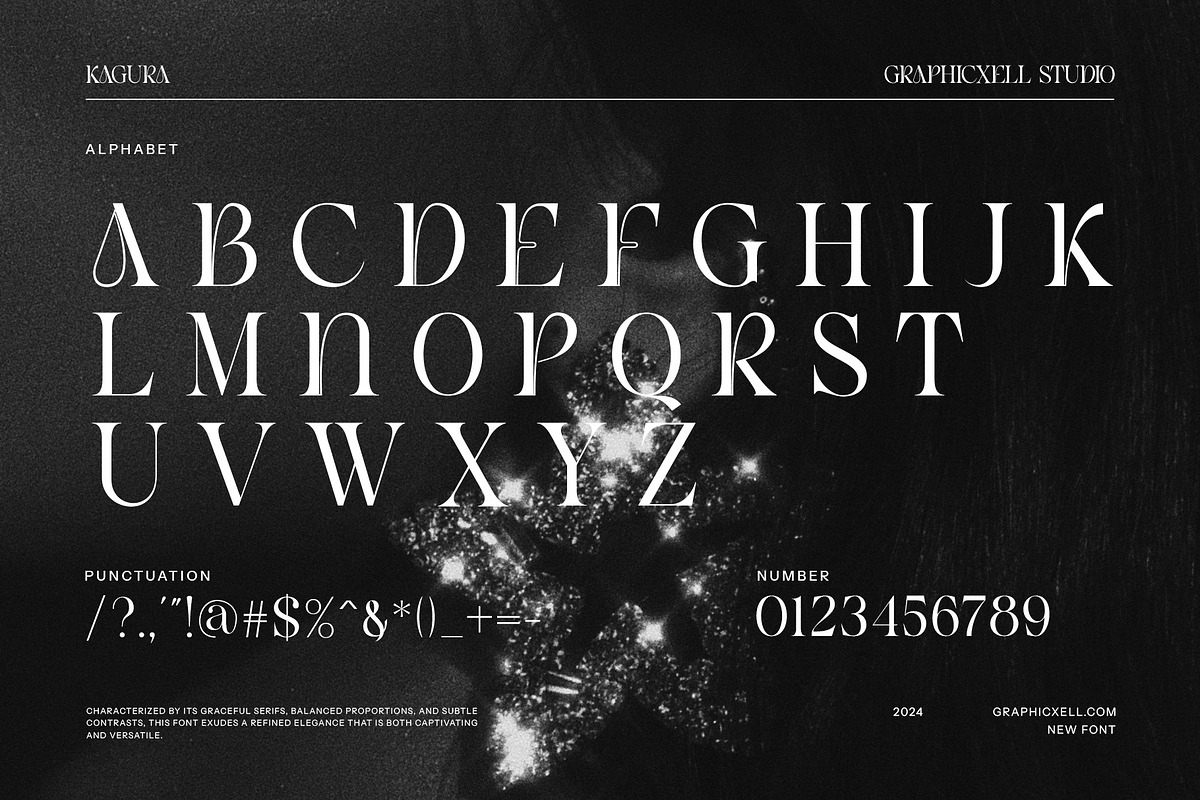 Kagura Serif Font, a Serif Font by Graphicxell (Photo 8 of 8)