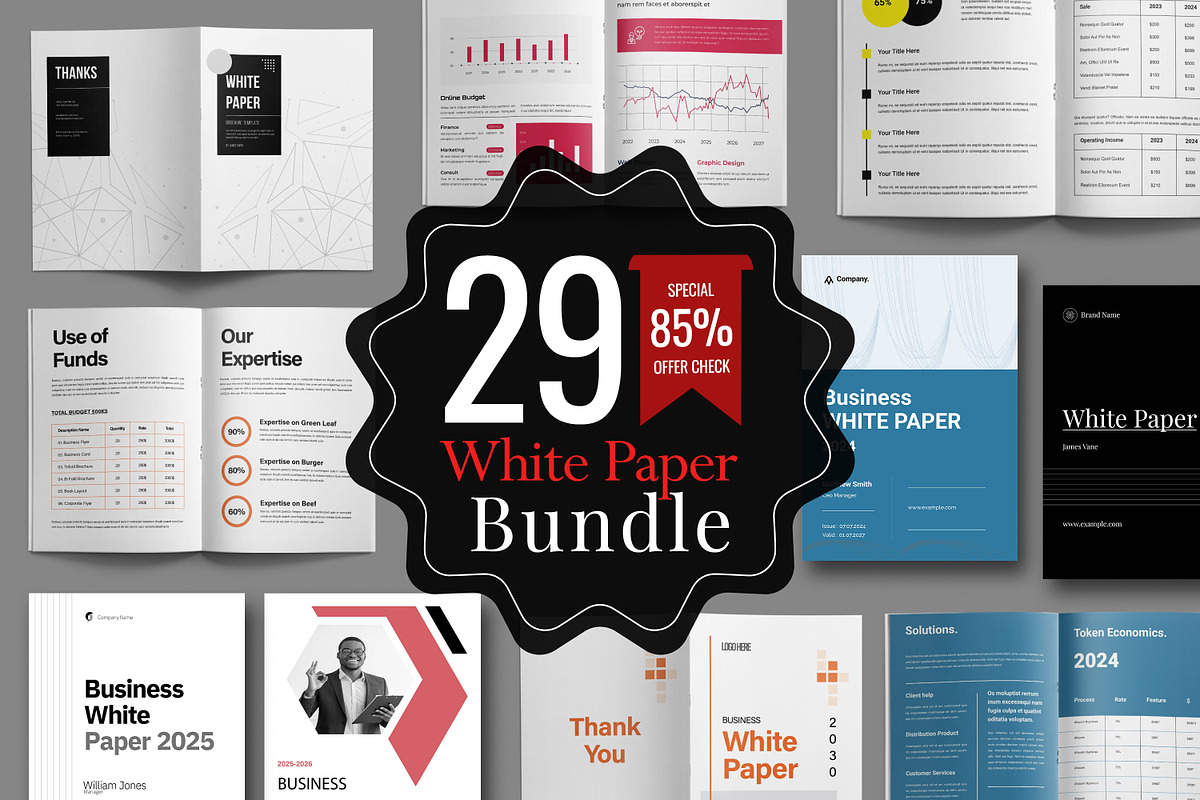 White Paper Bundle, a Brochure Template by ContestDesign (Photo 1 of 30)