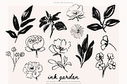 Ink Garden - 50 Brush Line Elements, a Decorative Illustration by PeDe Designs (Thumbnail 3 of 7)