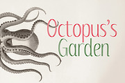 Spritely Hand — Organic Display Font, a Handwritten Font by Kevin Foley Fonts (Thumbnail 5 of 11)