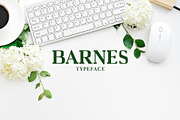 Barnes Serif 7 Font Family Pack, a Serif Font by Creativetacos (Thumbnail 1 of 5)