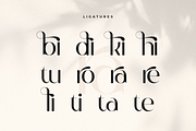 Begin - Modern Luxury Sans Serif, a Sans Serif Font by Sensatype (Thumbnail 6 of 16)