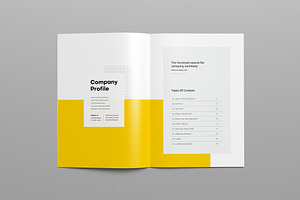 Company Profile 2023