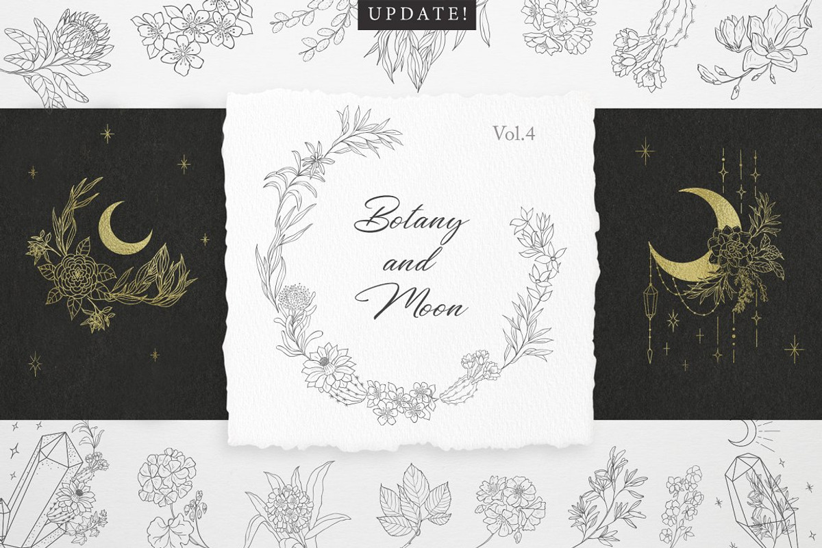 Botany & Moon. Hand Drawn Line Art., a Decorative Illustration by Designwork (Photo 1 of 20)