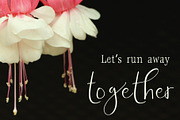 Avant Garde Font Duo, a Script Font by Lori Goree (Thumbnail 5 of 6)