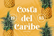 Tropical Garden font, a Serif Font by Davide Bassu (Thumbnail 2 of 15)