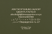 Florique Decorative Art Nouveau Font, a Serif Font by gafaroff studio (Thumbnail 10 of 10)