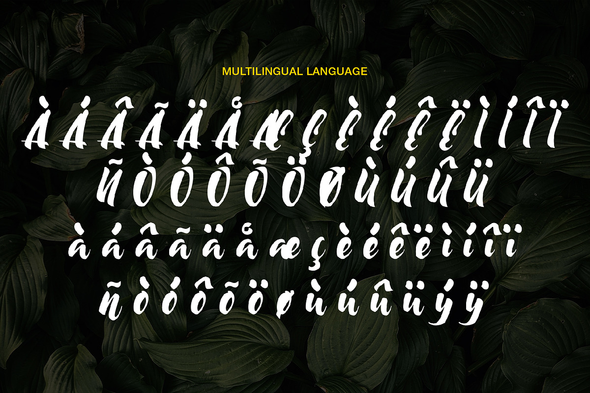 Moonway - A Hand Brush Typeface, a Script Font by SemutHitam Creative (Photo 7 of 10)